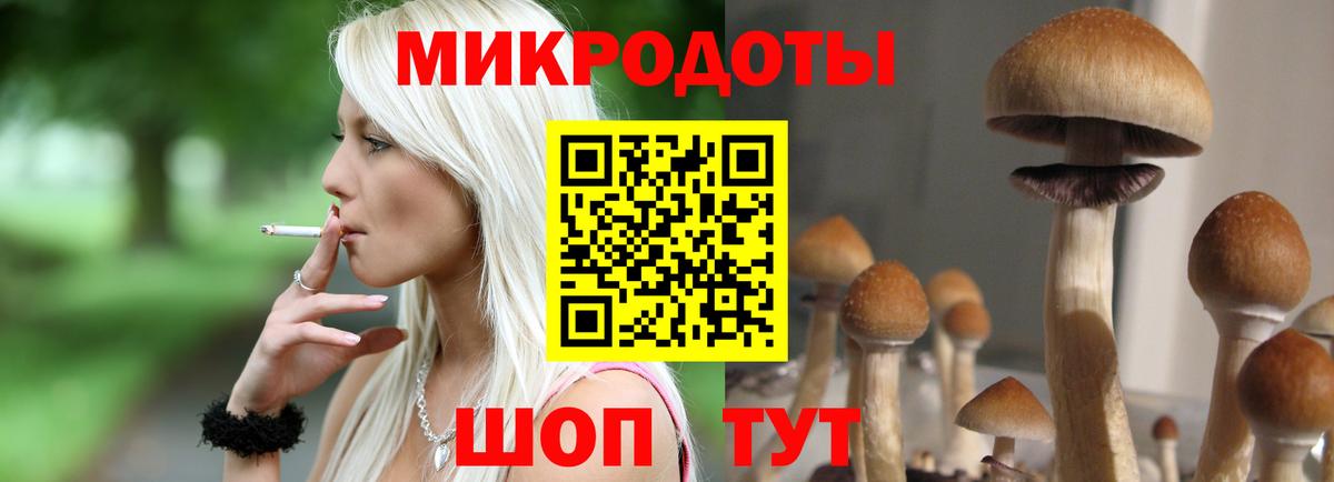 Галлюциногенные грибы мицелий Санкт-Петербург
